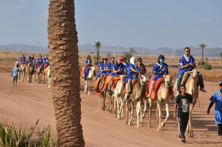 Adventure Quad Bike and Camel in Marrakech Palmeraie. - Booking Flexibility