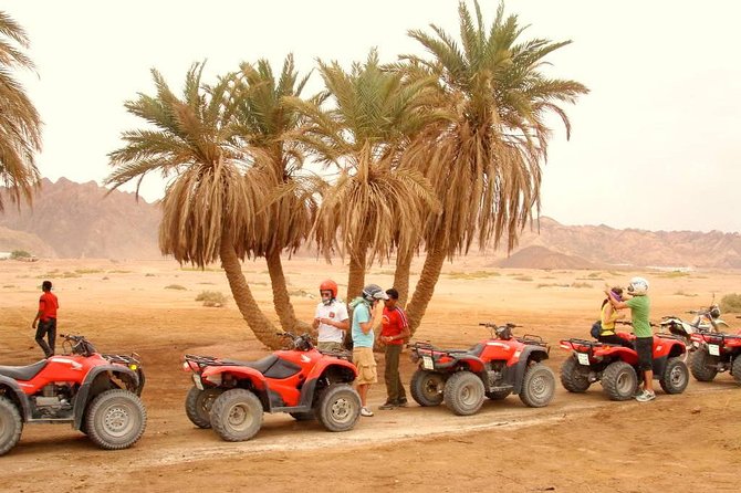 Adventure Quad Biking Tour in Dahab - Safety and Equipment