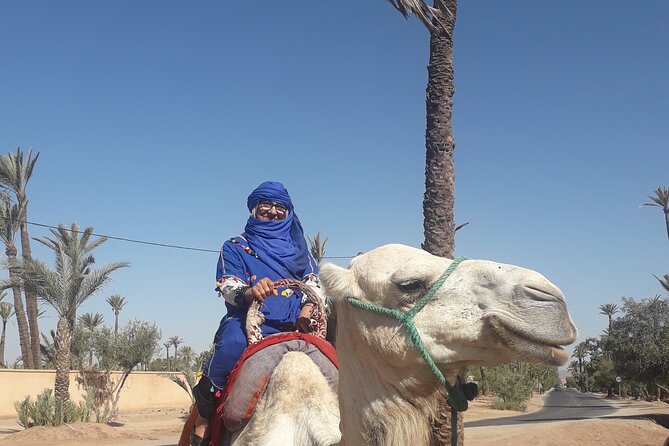 Adventure Quad Biks & Camel Ride - Tour Overview