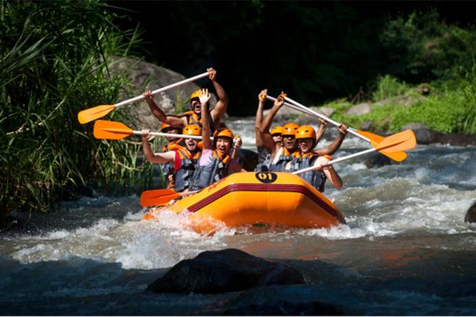 Adventure Rafting Journey With Us! And Ubud Tours - Adventure Rafting Highlights