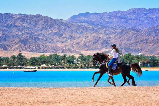 Adventure Safari By Horse In Dahab At Laguna Beach - Good To Know