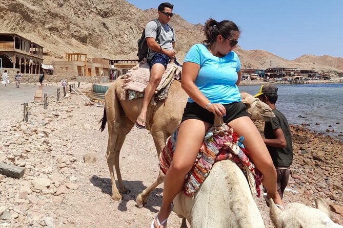 Adventure Safari By Horse In Dahab At Laguna Beach - Additional Details