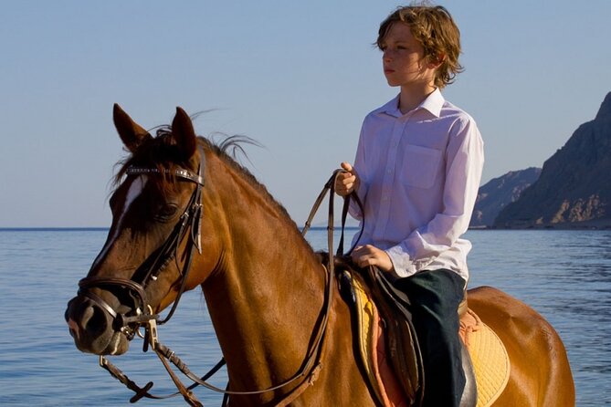 Adventure Safari By Horse In Dahab At Laguna Beach - Directions to Meeting Point