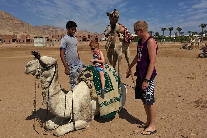 Adventure Safari By Horse In Dahab At Laguna Beach - Booking Options