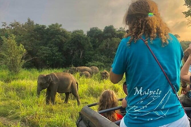 Adventure safari Experience in Hurulu Eco Park, Sri Lanka - Good To Know