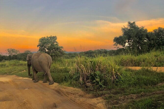 Adventure safari Experience in Hurulu Eco Park, Sri Lanka - A Closer Look at the Experience