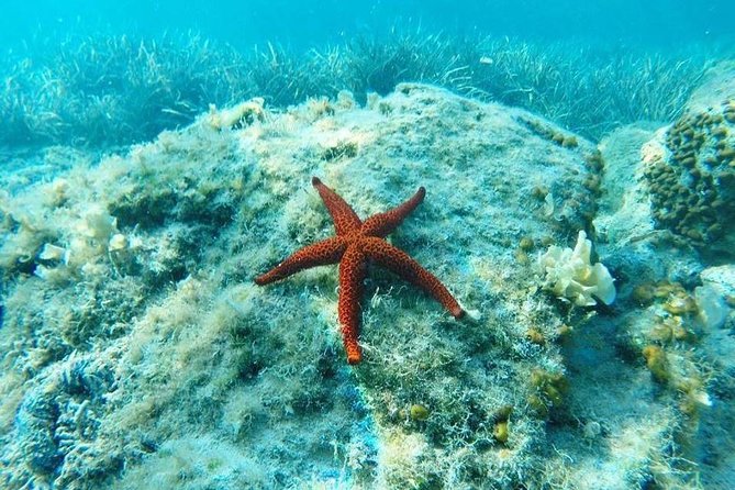 Adventure Sailing 3-Night Trip From Dubrovnik on the Huck Finn Catamaran - Reviews and Recommendations