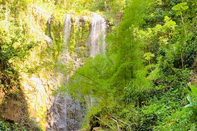 Adventure to a Hidden Waterfall, Private Tour - Tour Overview