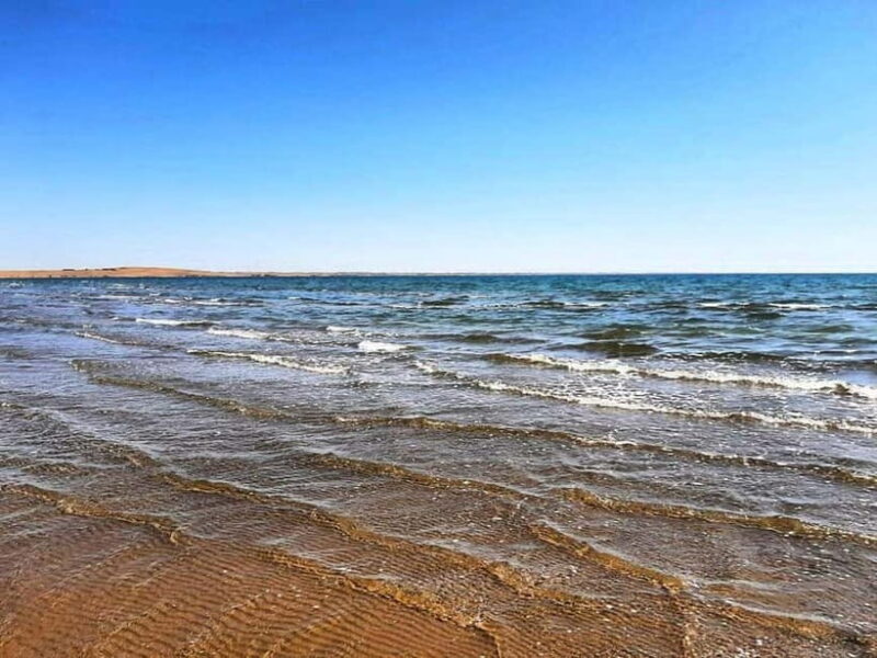 Adventure to Desert Kyzyl Kum and Yurt Camp - Final Summary