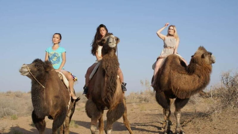 Adventure to Desert Kyzyl Kum and Yurt Camp - In-Depth Review of the Desert Kyzyl Kum and Yurt Camp Tour