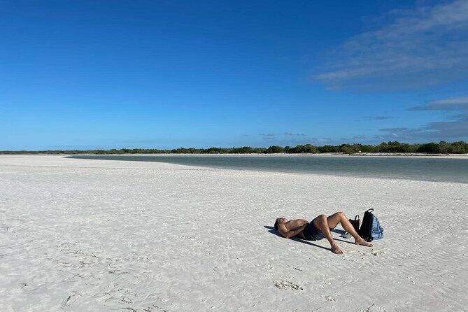 Adventure to Holbox Punta Mosquito by Ferry from Playa del Carmen - Return Journey and Additional Time