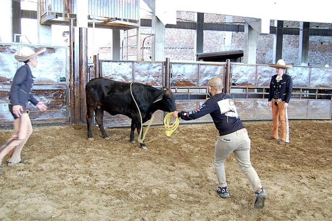 Adventure Tour Between Charros, Mariachi, and Parián De Tlaquepaque - Terms and Conditions