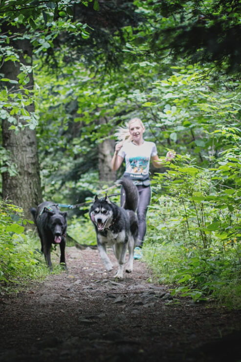Adventure Tours With Dogs in Beskid Wyspowy - Hike - Key Points