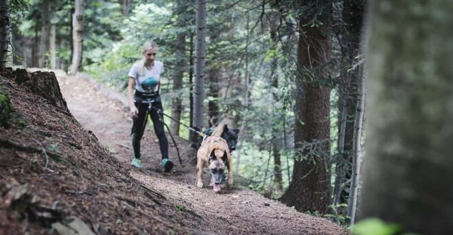 Adventure Tours With Dogs in Beskid Wyspowy - Hike - Unique Experiences