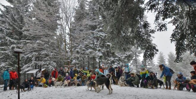 Adventure Tours With Dogs in Beskid Wyspowy - Hike - Dog Bonding