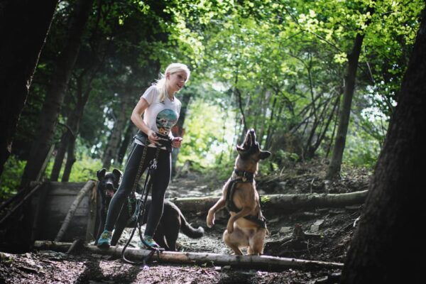Adventure Tours With Dogs in Beskid Wyspowy - Hike - Local Tourism Support