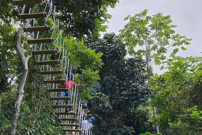 Adventure Trail Tour in the foothills of the National Rainforest - Exploring the Itinerary: What to Expect