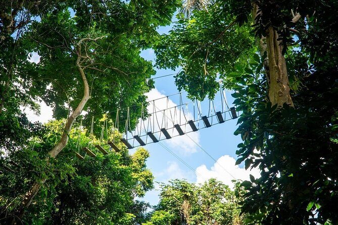 Adventure Trail Tour in the foothills of the National Rainforest - Weather and Cancellation Policies