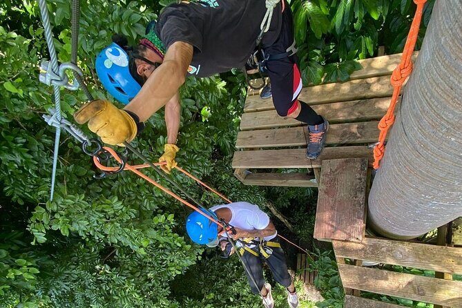 Adventure Trail Tour in the foothills of the National Rainforest - Who Should Consider This Tour?