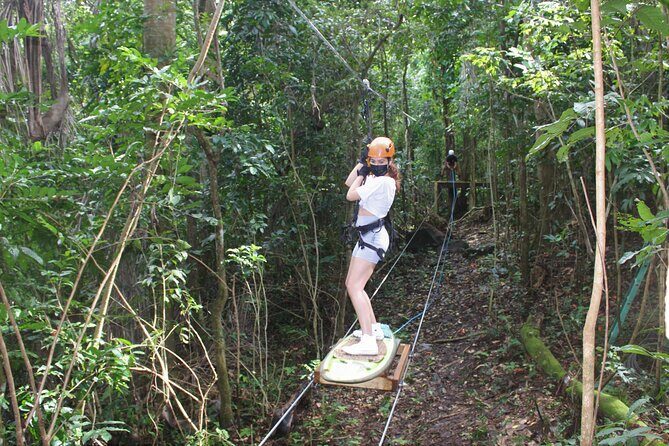 Adventure Trail Tour in the foothills of the National Rainforest - The Sum Up: Is It Worth Doing?