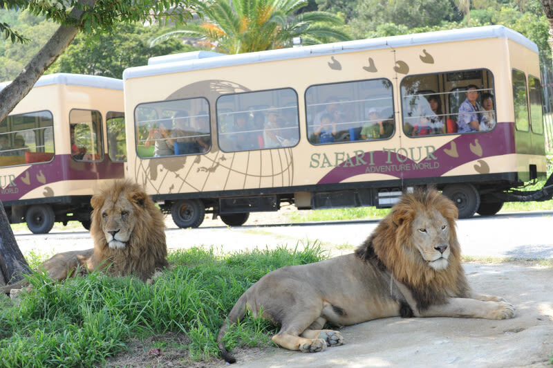 Adventure World Admission Ticket in Wakayama - Marine shows and ocean animals