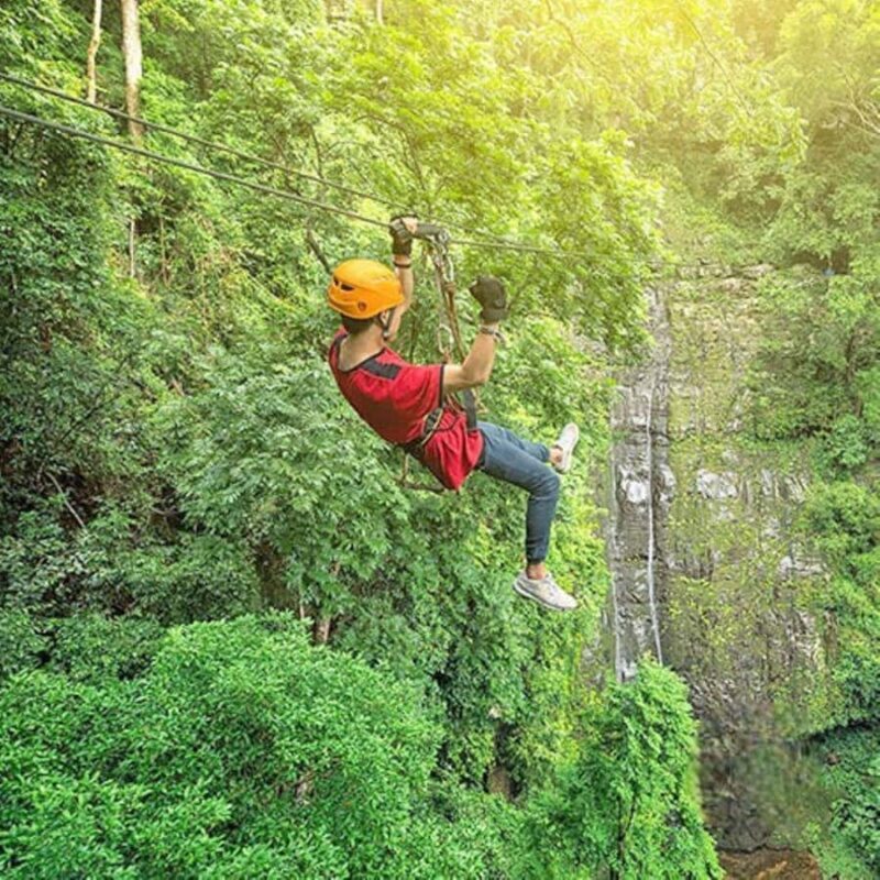 Adventure Zipline - Koh Samui Shore Excursion - What to Expect from the Zipline Adventure in Koh Samui