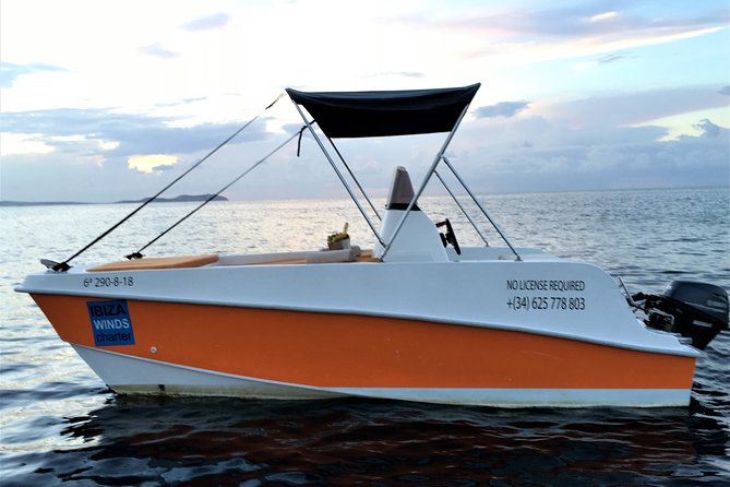 Adventurecat Half Day Tour - Boat Rental - No License Required. - Pricing and Booking Information