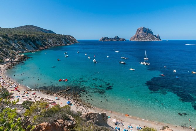 Adventurecat Half Day Tour - Boat Rental - No License Required. - Reviews and Ratings