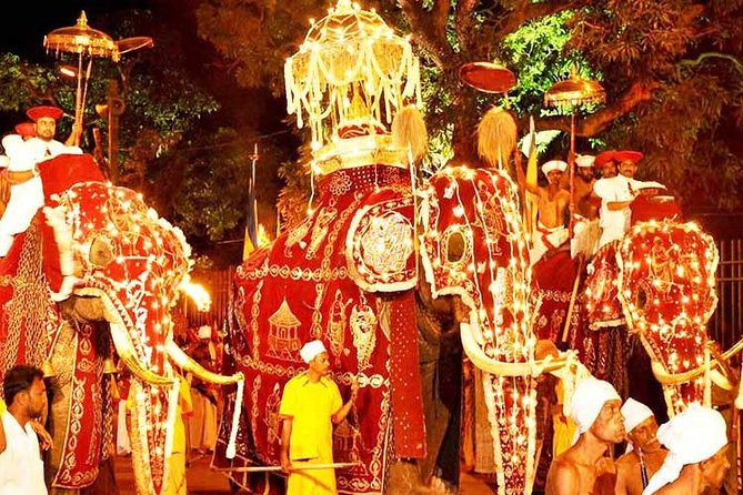Adventures of the Last Kingdom of Sri Lanka - Cultural Festivals and Traditional Performances
