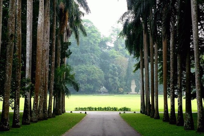 Adventures of the Last Kingdom of Sri Lanka - Thrilling Adventure Activities