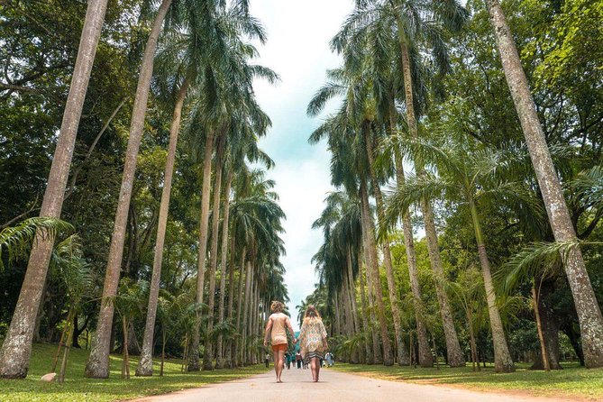 Adventures of the Last Kingdom of Sri Lanka - The Sum Up