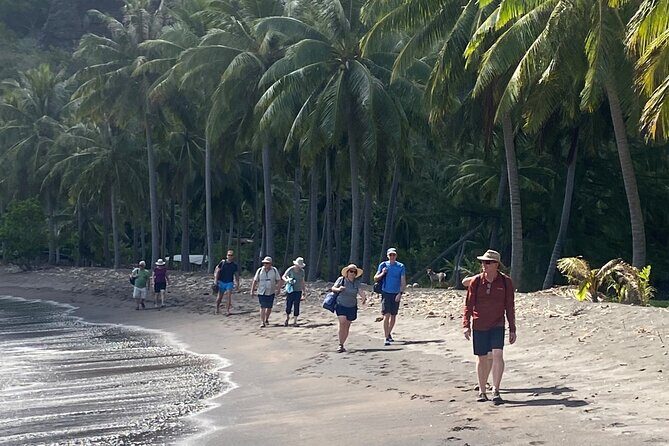 Adventurous Escape to Hakaui Valley - Diving Into the Experience: What You Can Expect