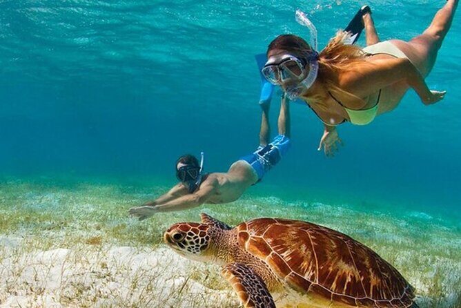 Adventurous-Snorkeling With Sightseeing of Montego Bay - Exploring Adventurous Snorkeling & Sightseeing in Montego Bay
