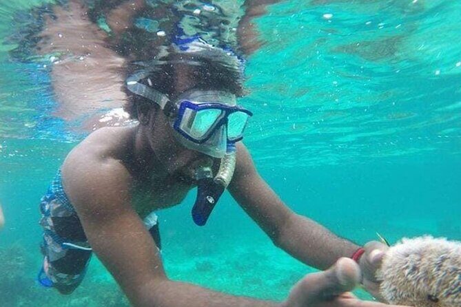 Adventurous-Snorkeling With Sightseeing of Montego Bay - Who Should Consider This Tour?