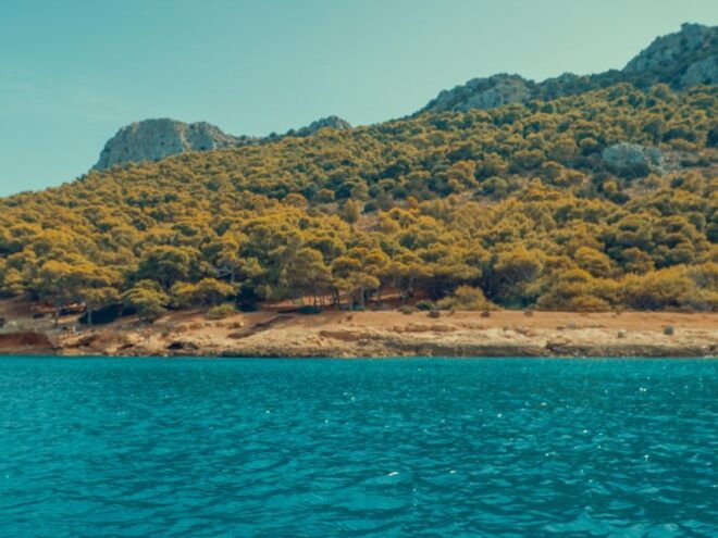 Aegina Island – Moni Islet - Perdika - Private Boat Party Experience