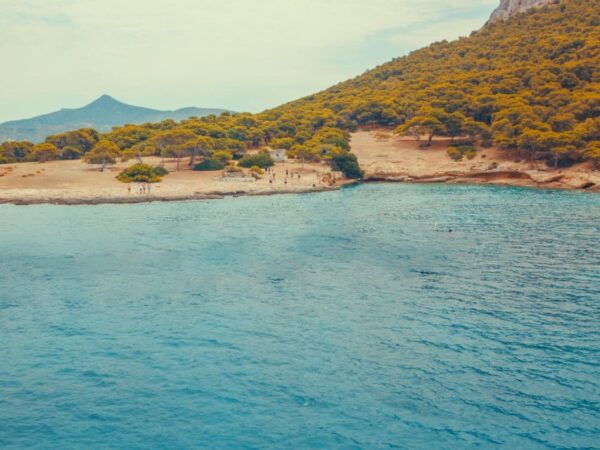 Aegina Island – Moni Islet - Perdika - Common Questions