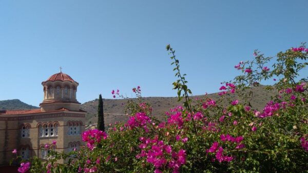 Aegina Island & Temple of Athina Aphaia Private Day Tour - Common Questions