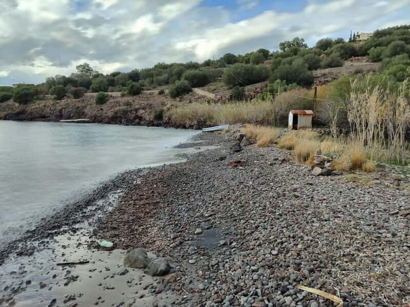 Aegina: Secret Beaches Alternative Tour - The Experience from Reviews and Practical Insights