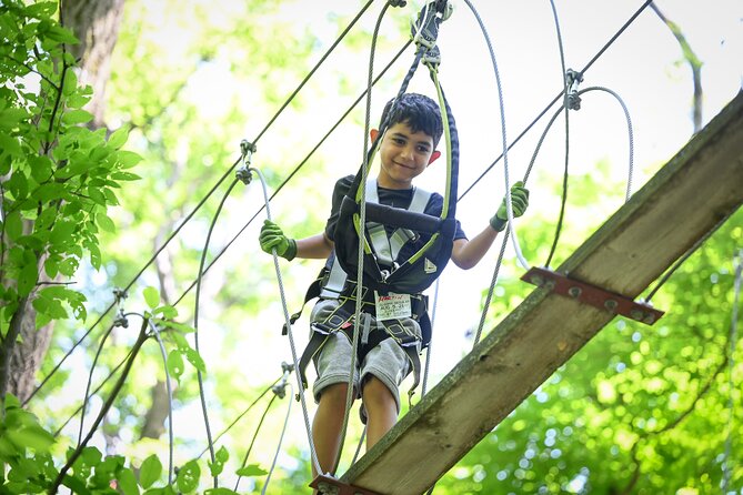 Aerial Adventure Park Admission - Admission Pricing and Fees