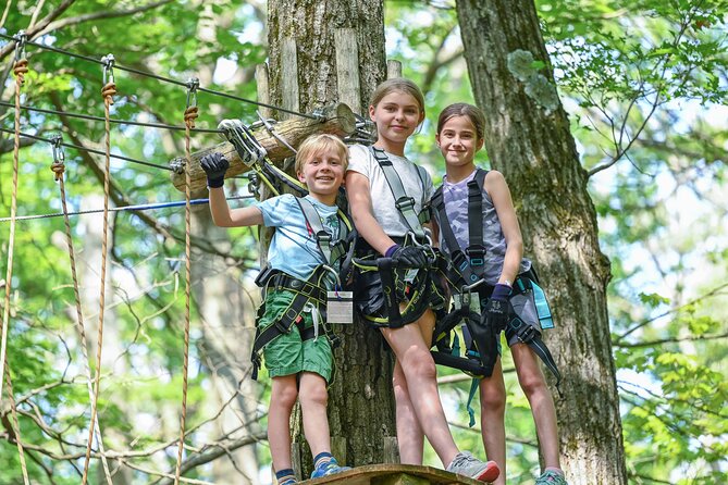 Aerial Adventure Park Admission - Meeting Point Location