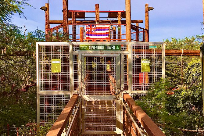 Aerial Challenge Course - The Sum Up