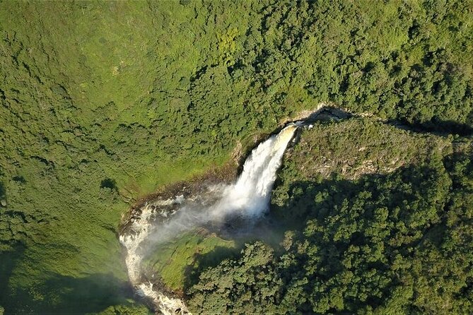 Aerial Hammocks, Great Zip Line and Waterfall Trek in Medellin - Zip Line Adventure Details