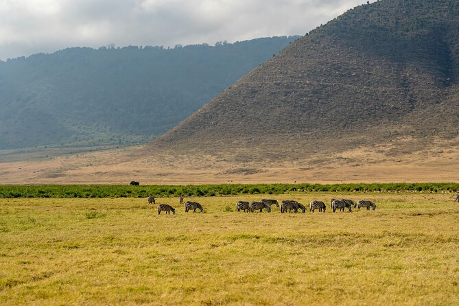 Affordable 4 Days Tanzania Private Mid-range Lodge Safari Tour - Additional Information