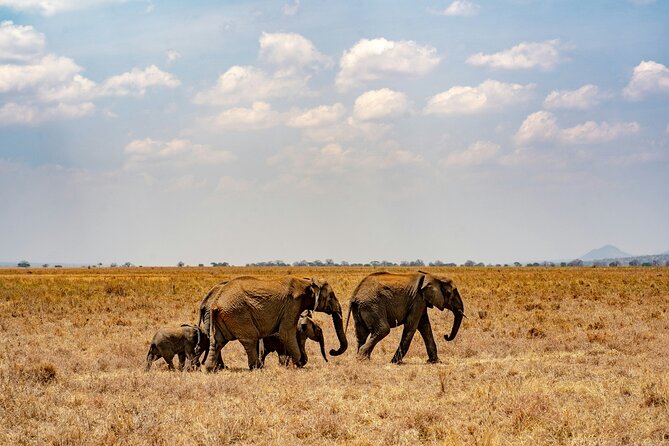 Affordable 4 Days Tanzania Private Mid-range Lodge Safari Tour - The Sum Up