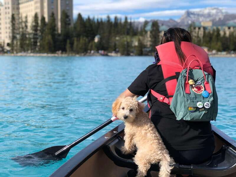 Affordable Banff, Lake Louise & Moraine Lake DayTrip Shuttle - The Itinerary: What You Can Expect from This Day Trip