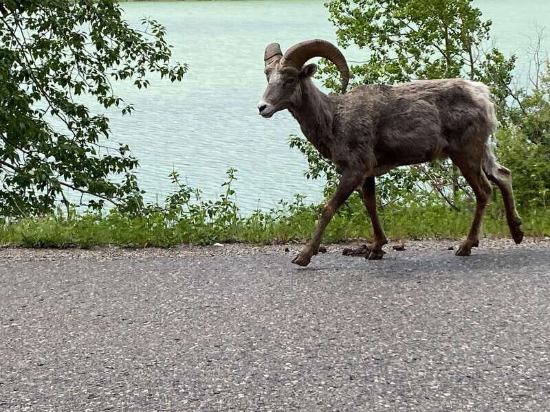 Affordable Banff, Lake Louise & Moraine Lake DayTrip Shuttle - Practically Speaking: What to Pack & Consider