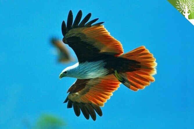 Affordable Langkawi Group Tour - SkyCab, Sky Bridge & Highlights - A Closer Look at the Tour Itinerary