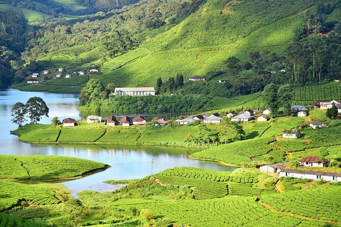 Affordable Transfer From Kochi to Munnar - Customer Reviews and Ratings