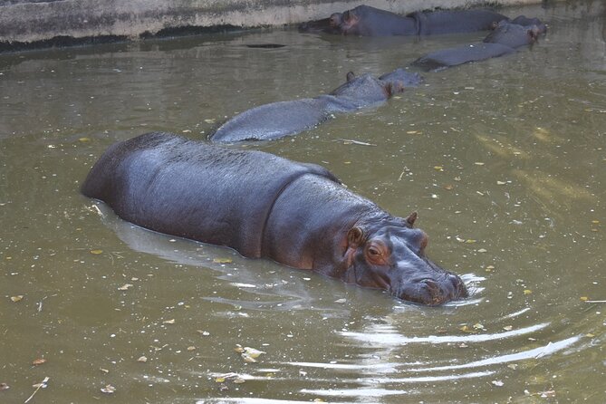 Africam Safari Experience (Private Tour) - Health and Safety Measures