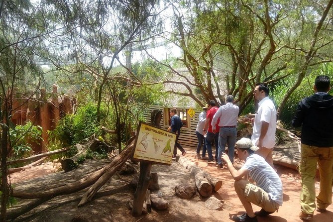 Africam Safari Zoo Admission With Transportation - Diversity of Animals and Species